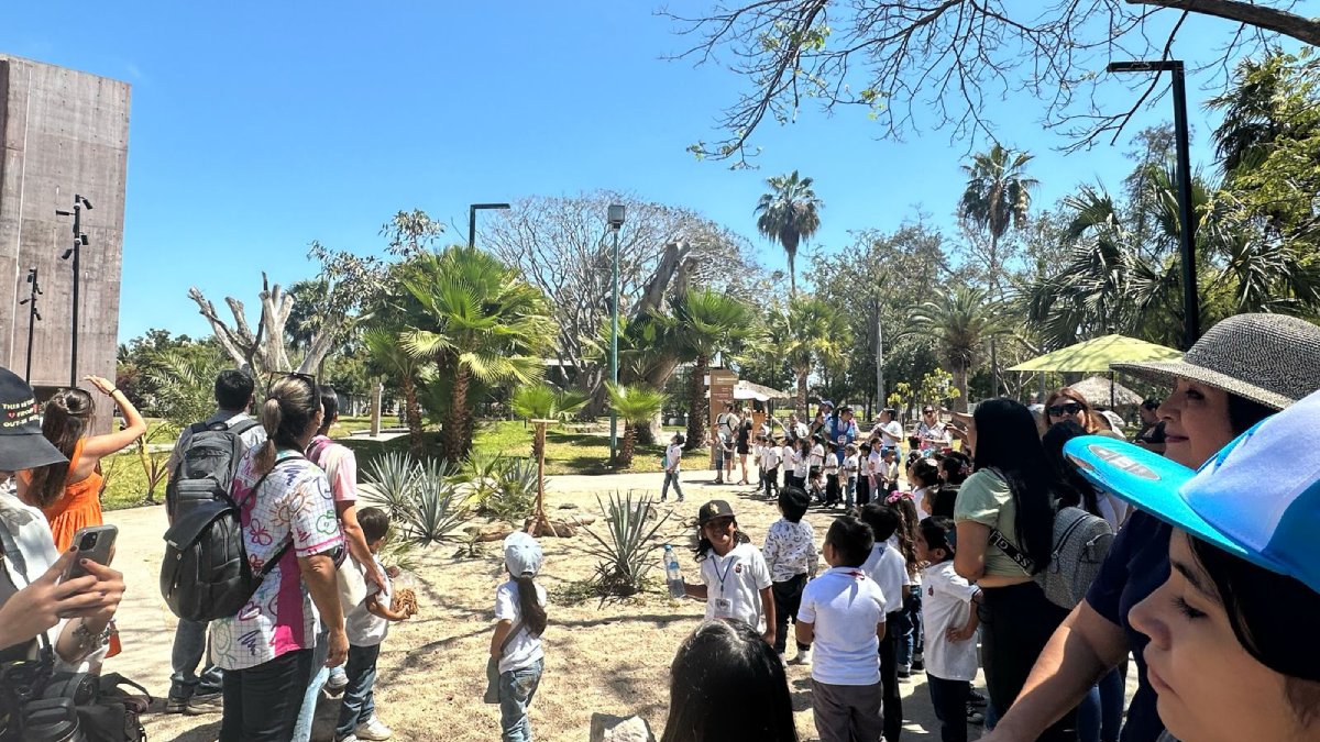 ¿Quién será? Tendrá el Gran Acuario Mazatlán nuevo integrante esta Semana Santa