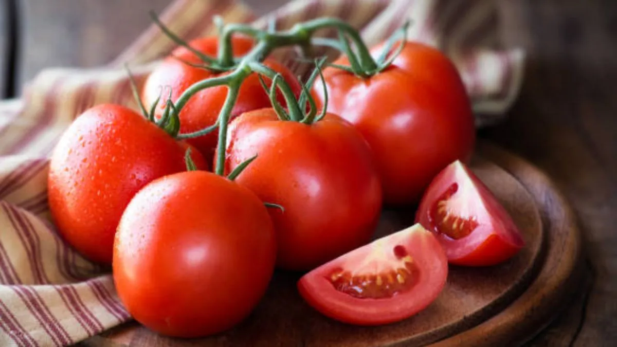 Sheinbaum revisó el tema del tomate en su visita a Sinaloa: ‘A EU no le alcanza su producción para su demanda’