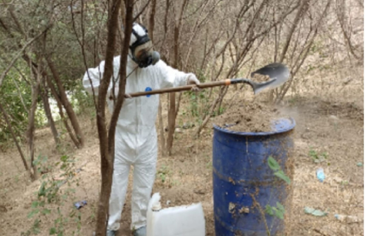 Aseguran un laboratorio inactivo y destruyen plantío de mariguana, en Cosalá