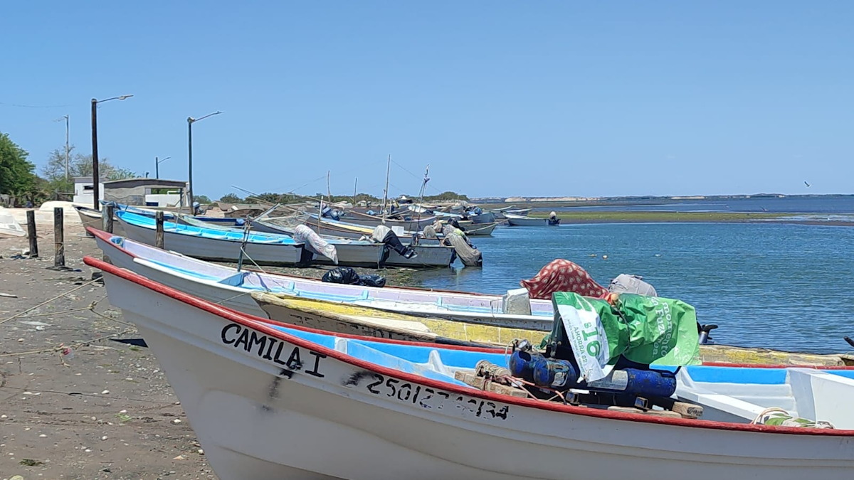 Pescadores de Topolobampo mantienen sus labores con normalidad en la costa del norte de Sinaloa