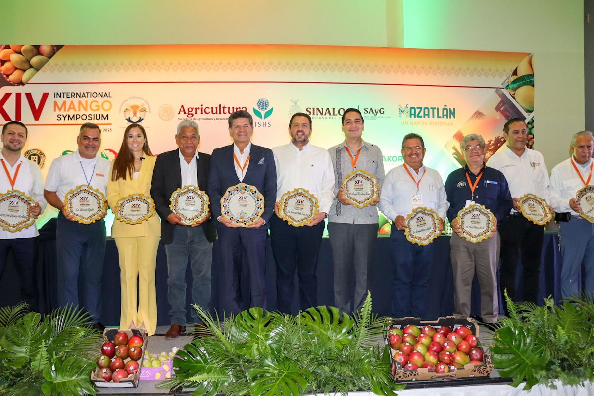 Sinaloa lidera producción nacional de mango y se convierte en sede del Simposium Internacional