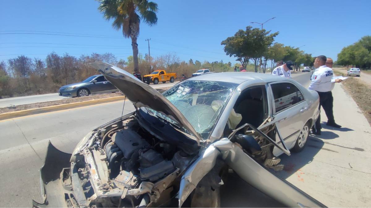 Conductor de un automóvil se impacta contra una palmera en la Mochis-Topolobampo
