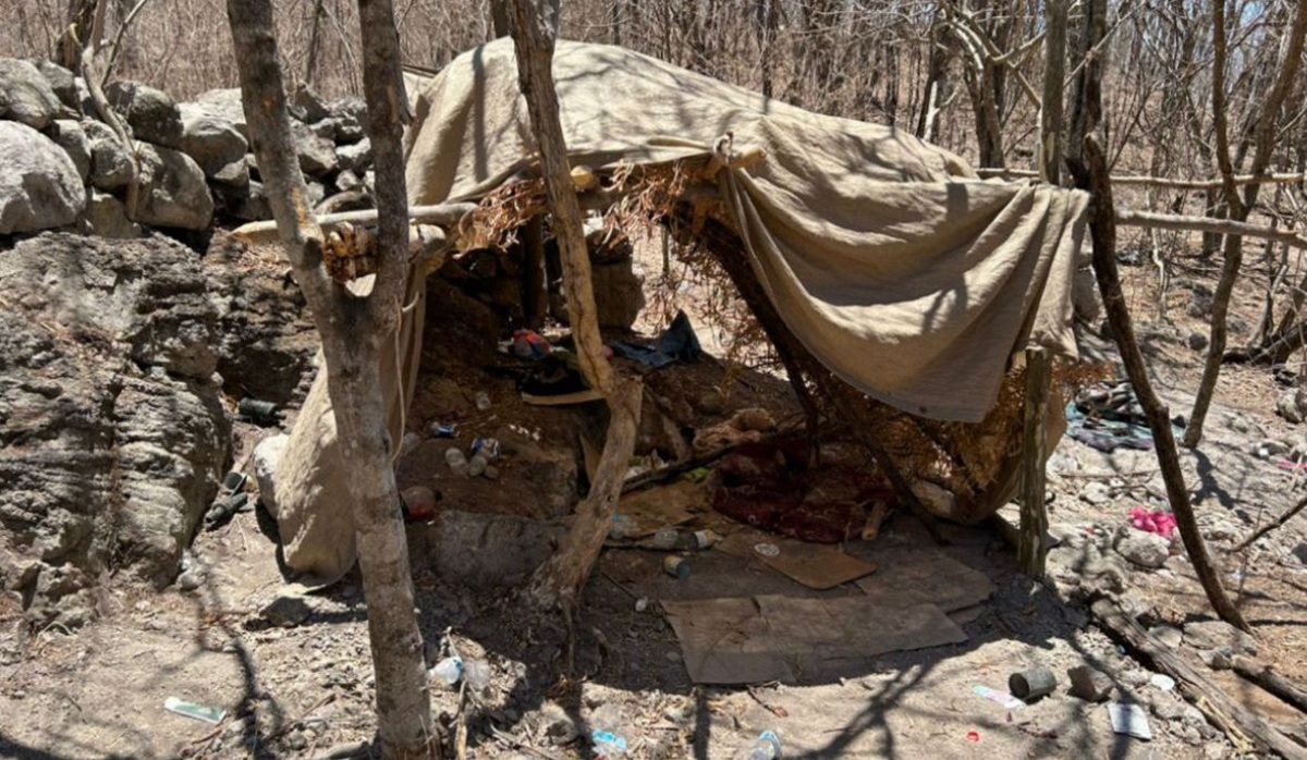 Localizan y destruyen campamento clandestino y un área para elaboración de drogas, en Cosalá