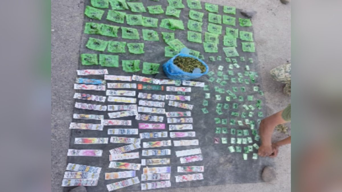 Aseguran drogas en operativo interinstitucional en zona rural de Mazatlán