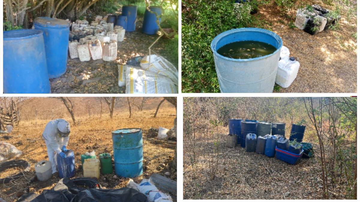 En Culiacán, Elota y Cosalá, aseguran 5 áreas de concentración de químicos para elaborar drogas