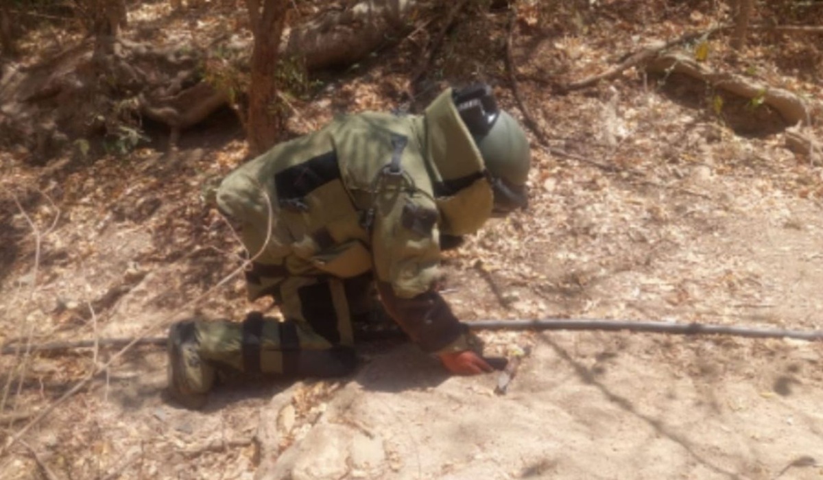Destruyen seis artefactos explosivos en Concordia, Sinaloa