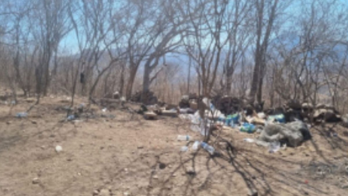 ¡Cabían más de 30 personas! Destruyen 2 campamentos clandestinos en Cosalá