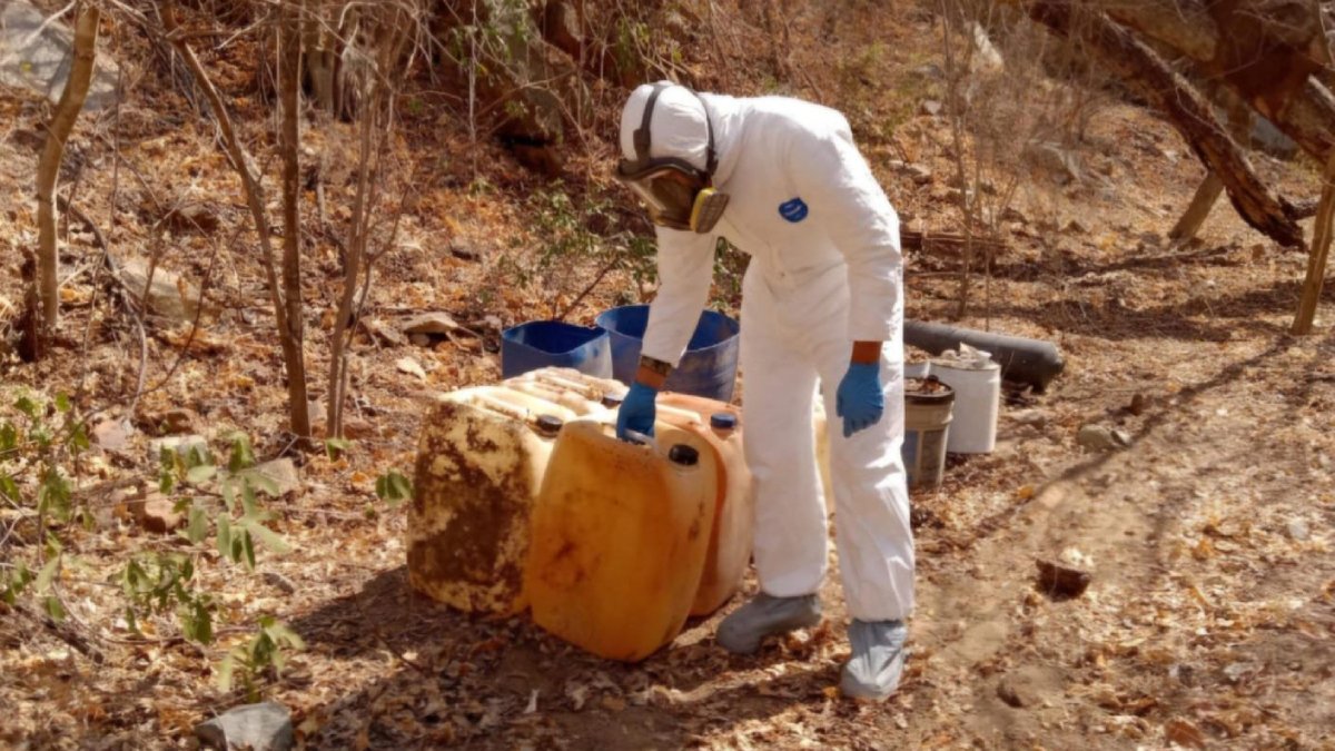 En Culiacán y Elota, decomisan 5 áreas de concentración con sustancias químicas