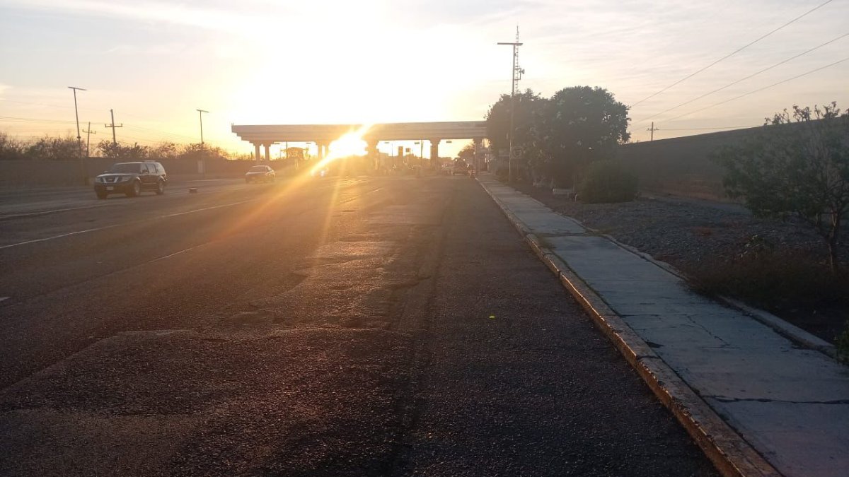 Ataque de abejas deja a cuatro personas lesionadas en la caseta de Cuatro Caminos, en Guasave