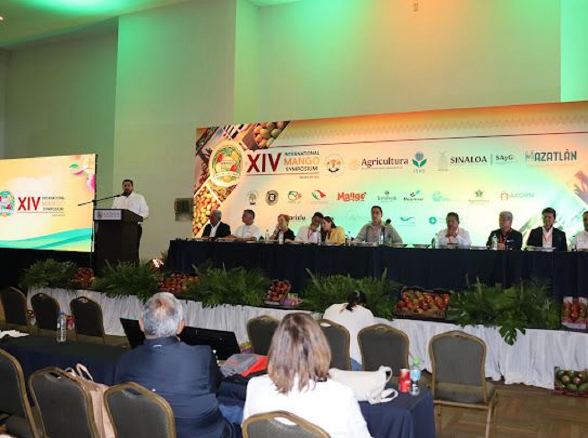 Mazatlán recibe el XIV Simposio Internacional del Mango y fortalece el turismo académico y de negocios