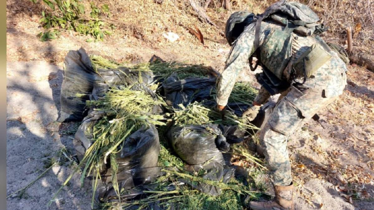 Militares hallan bolsas y tambos con mariguana, en Culiacán