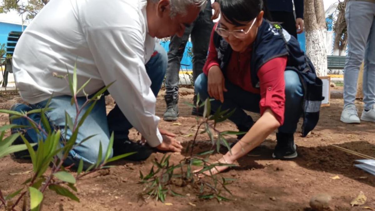Mazatlán inaugura jardín polinizador para proteger a las abejas en Mármol