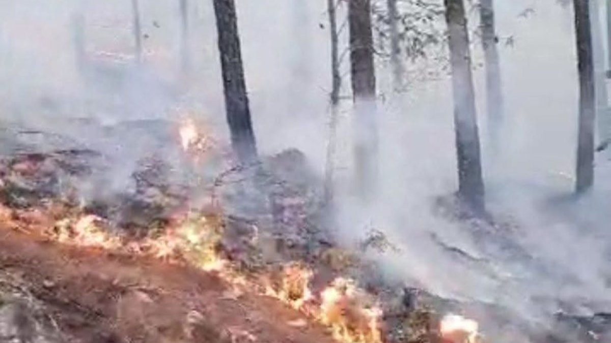 Arrasa el fuego con hectáreas de bosque en Loberas, Concordia
