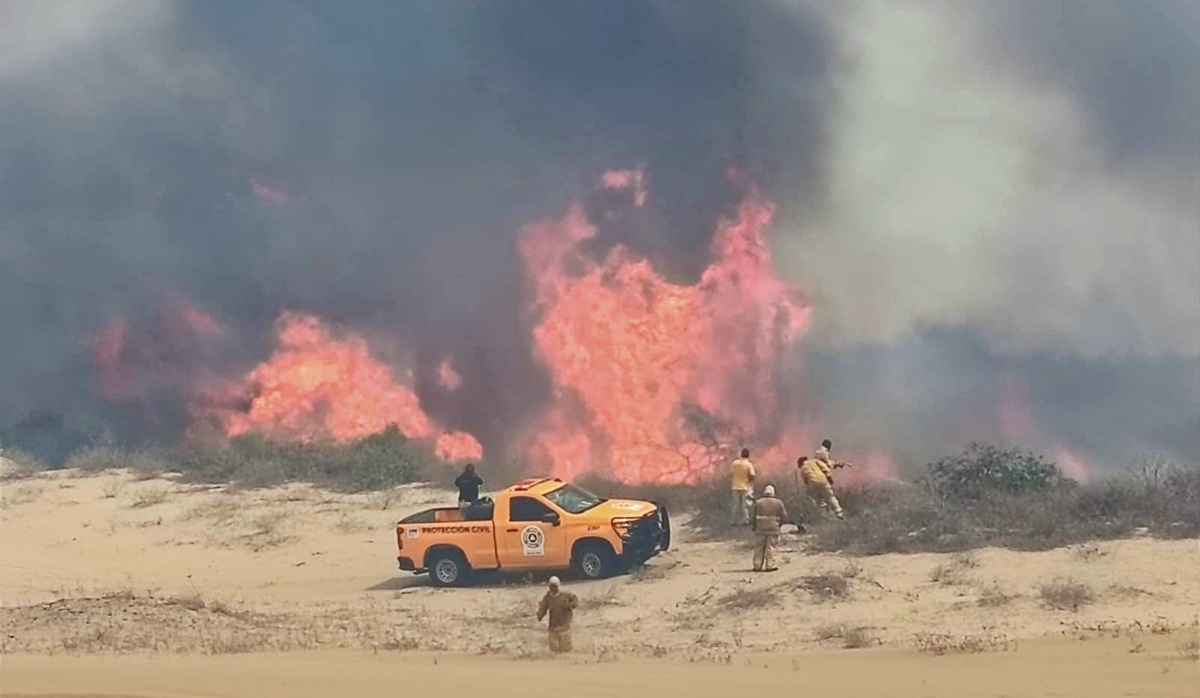 Se registra incendio de un manglar en El Tambor, Navolato; sin peligro a la población: PC