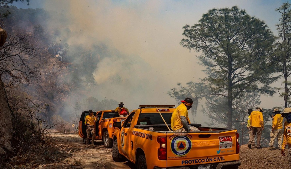 Convocan a colecta en apoyo de familias afectadas por incendio en la sierra de Concordia