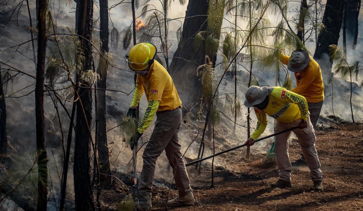 Se mantiene atención al incendio forestal en la sierra de Concordia