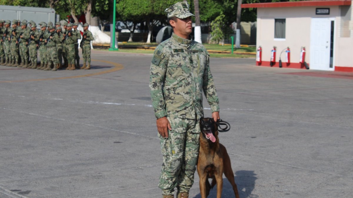 ‘Ixku’, héroe de cuatro patas, se retira de la Armada de México en emotiva ceremonia en Mazatlán