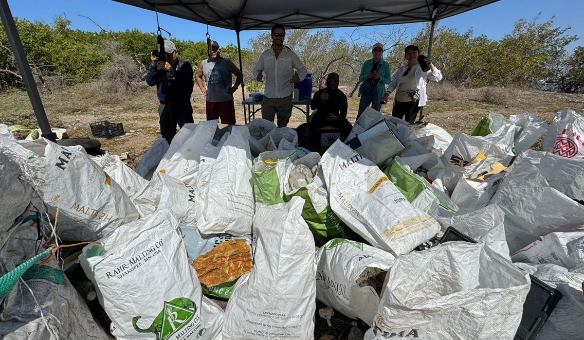Más de 811 kilos de desechos fueron retirados de la “Isla Basura” en Mazatlán