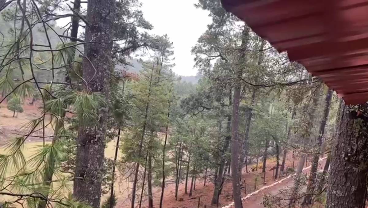 ¡Un paraíso en la montaña! Así amanece Santa Gertrudis tras dos días de lluvia suave y constante