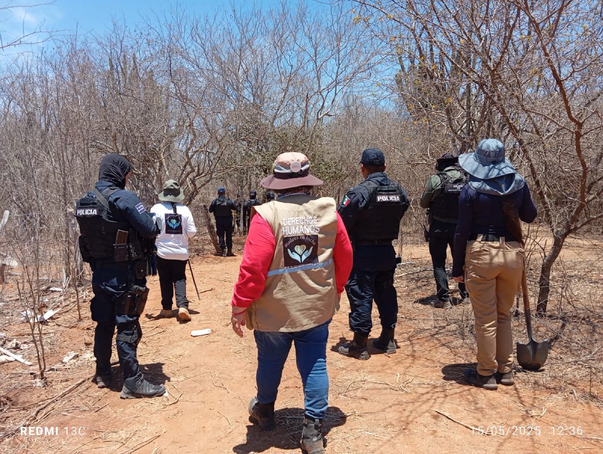 Localizan cuerpos en fosas clandestinas en Elota