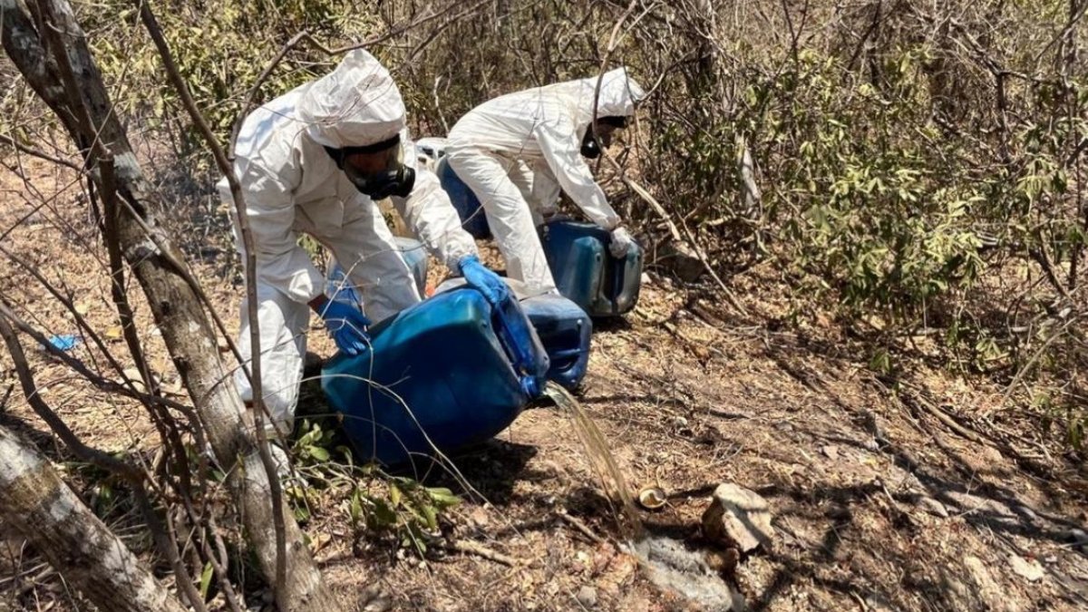 Militares destruyen químicos para la fabricación de drogas en comunidades de Culiacán y Cosalá