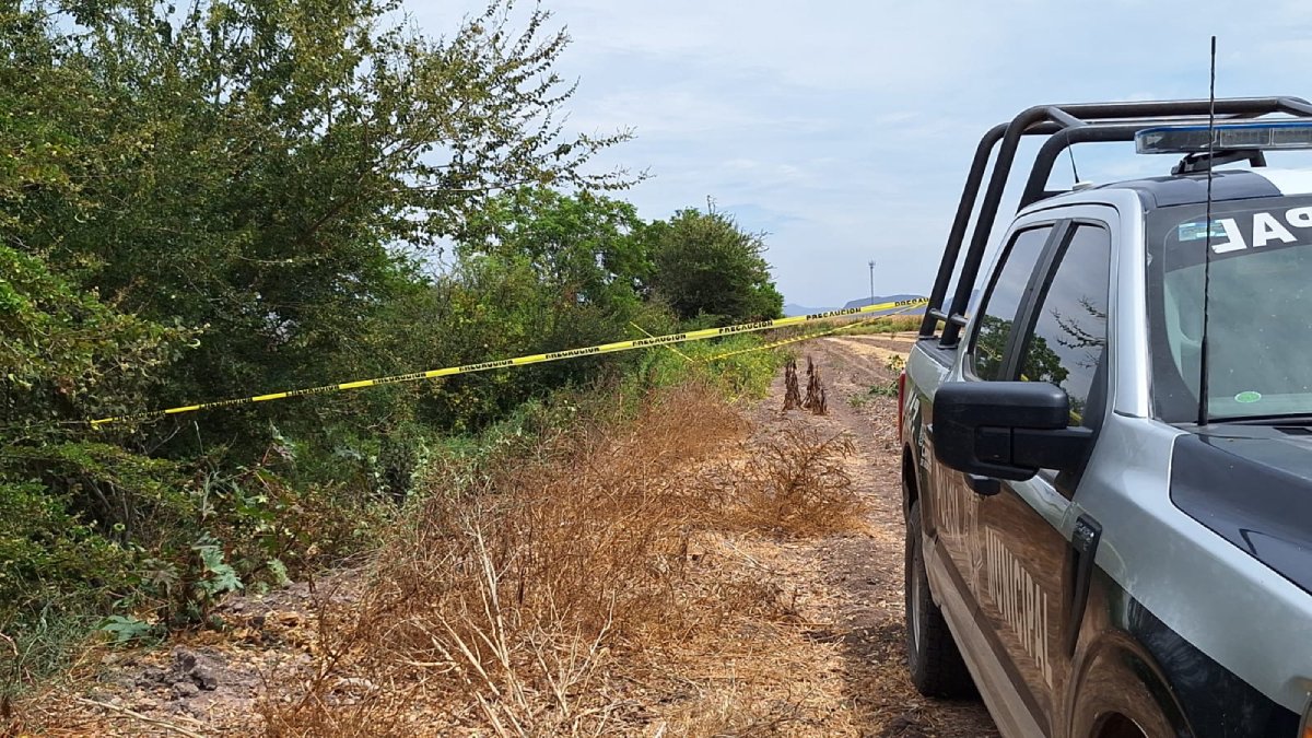 En avanzado estado de descomposición encuentran cadáver en El Tamarindo, en Culiacán