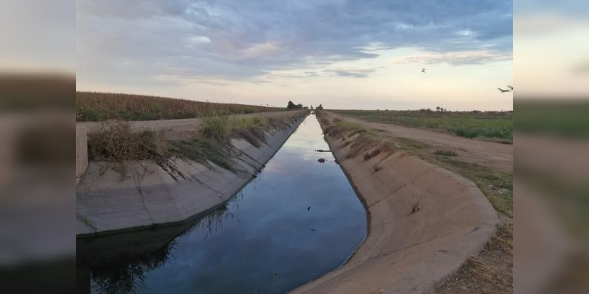 ¡Amanece con olor a tierra mojada! Cae la primera llovizna del año en Guasave