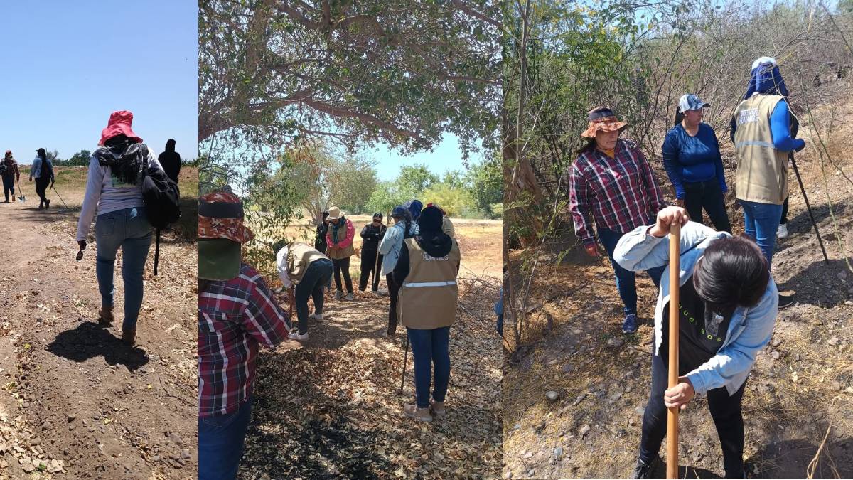 Localizaron 6 cuerpos en el dren Burrión; siguen sin identificar: Rastreadoras de Guasave