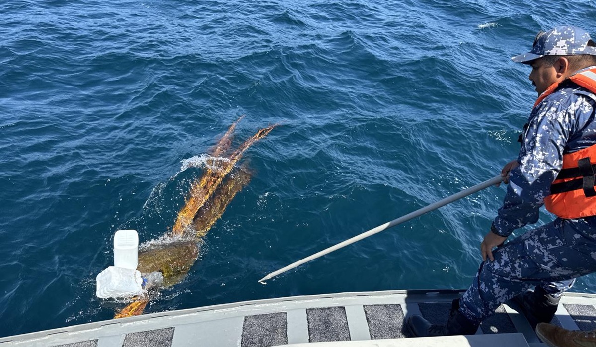 ¡Estaba enredada en plásticos! Rescatan y liberan a tortuga marina en costas de San Ignacio, Sinaloa