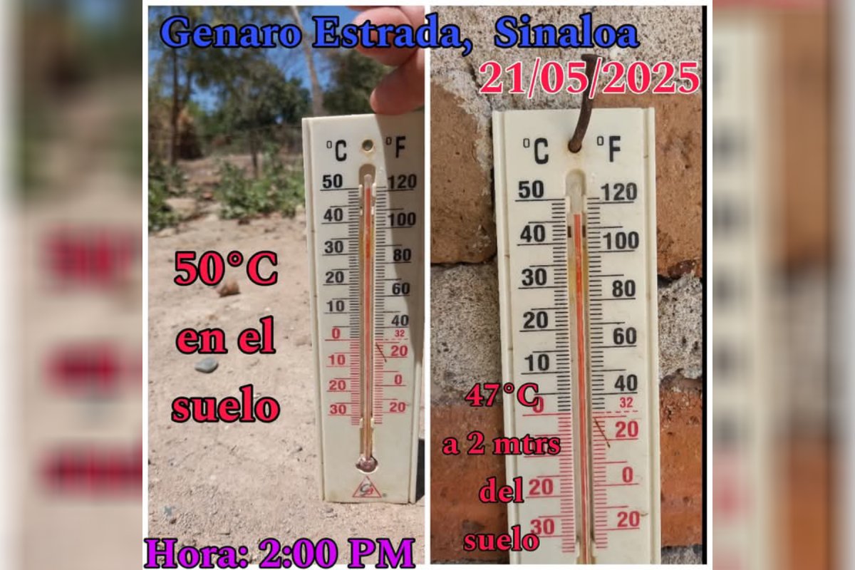 ¿Qué tal el calor? En Genaro Estrada, Sinaloa, registran 50 grados
