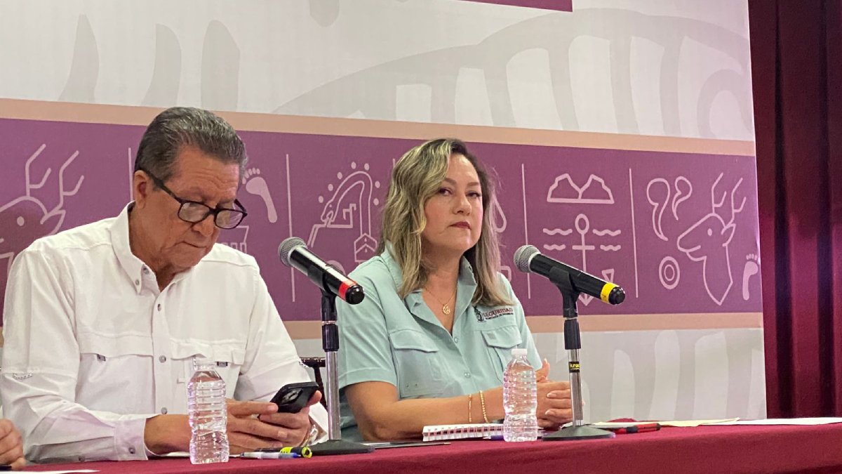 No se han tenido los resultados que se esperan, pero hay operativo permanente: SSPE sobre robo de autos