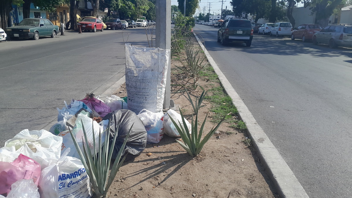 Convierten en basurero camellón en colonia de Mazatlán