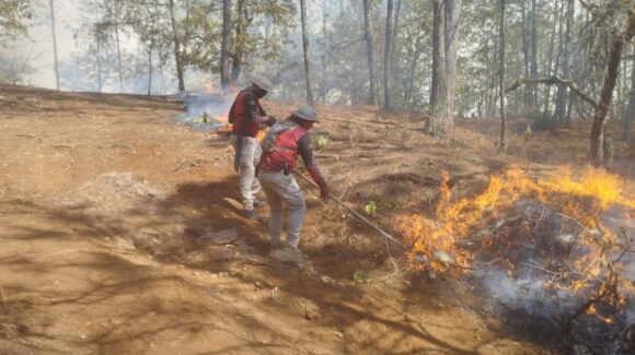 Se han presentado 4 incendios forestales en poblados cercas a La Noria, pero todo controlado: Síndico