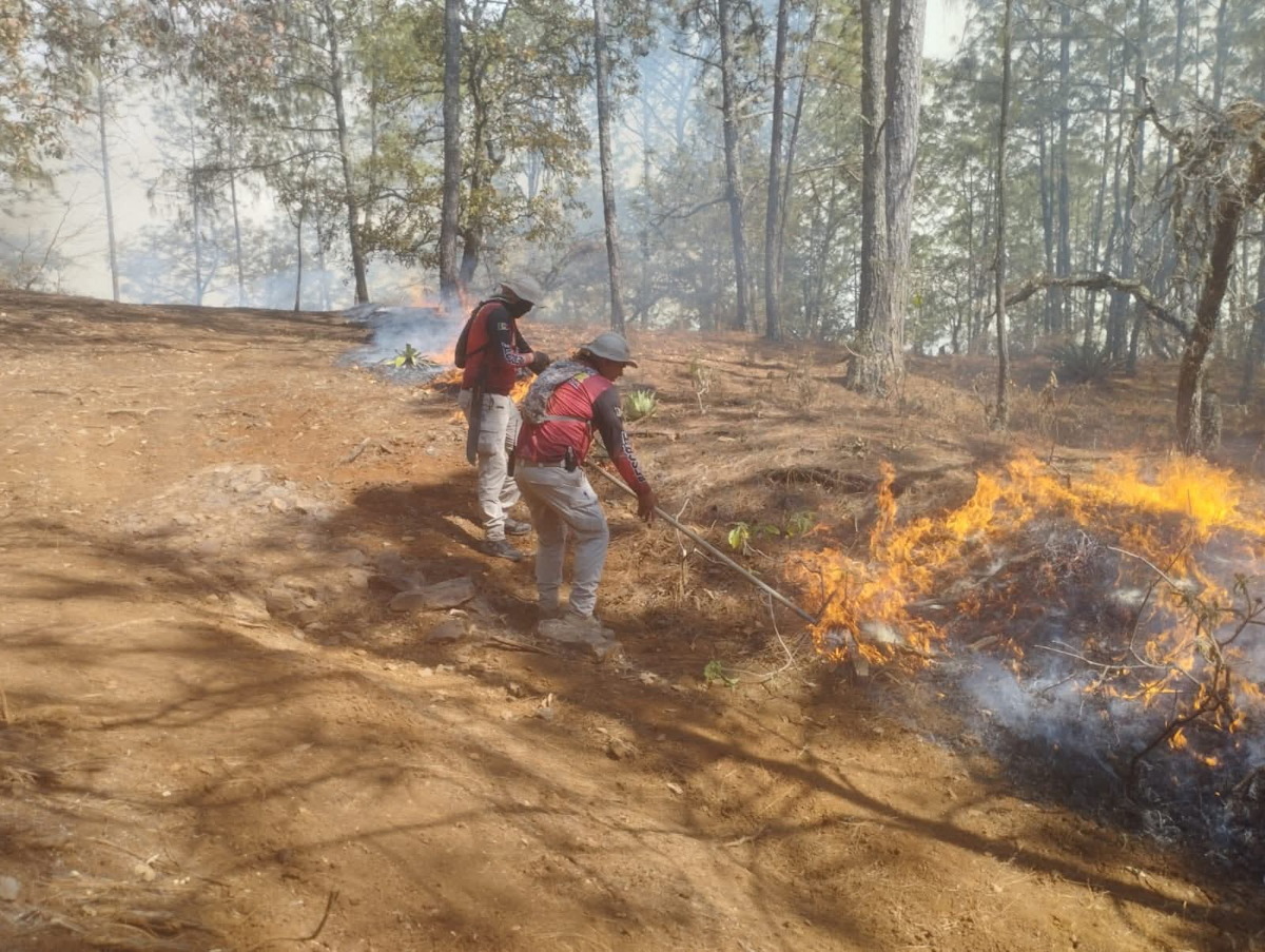 Incendios en la zona sur de Sinaloa