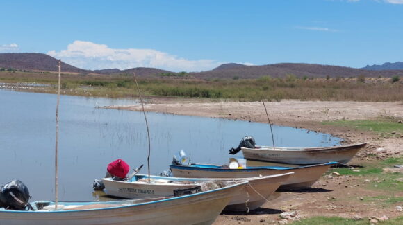 Aprueban levantar la veda en la presa Eustaquio Buelna el 15 de diciembre en Guamúchil, Sinaloa