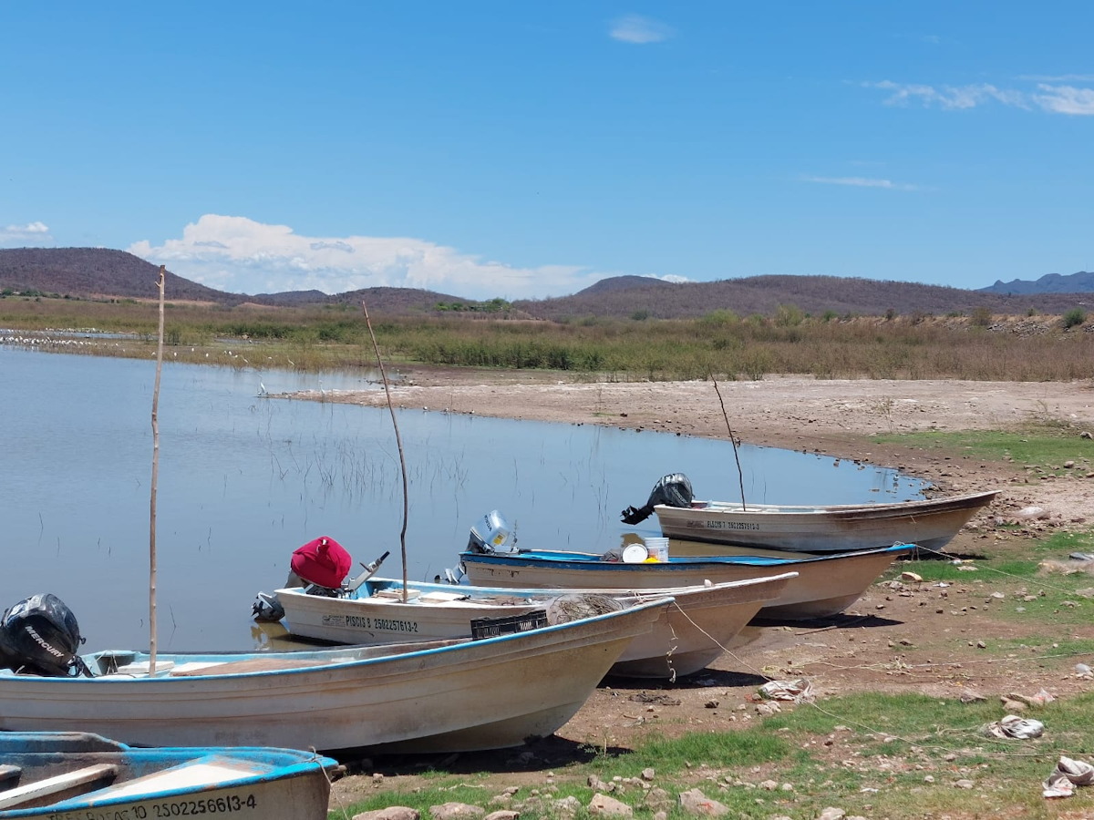 Prolongarán un mes más la pesca en la presa Eustaquio Buelna; veda iniciará en agosto