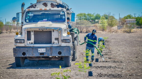 Pretenden crear nuevo pulmón verde en Guamúchil; inicia la reforestación de 50 árboles