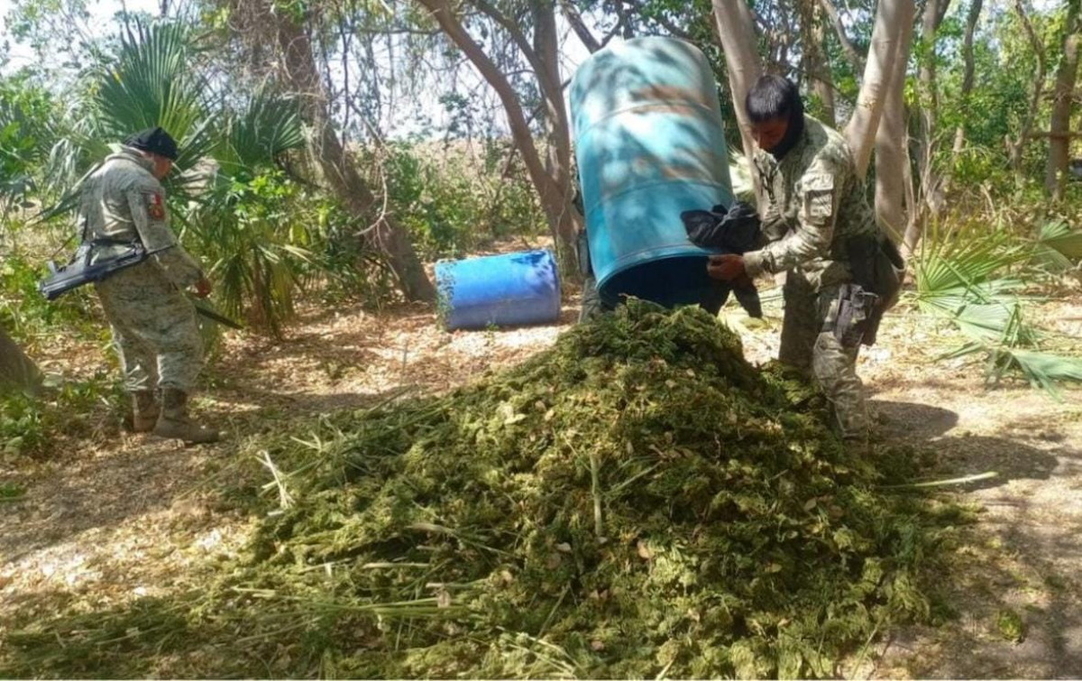 Secadero de droga en Culiacán