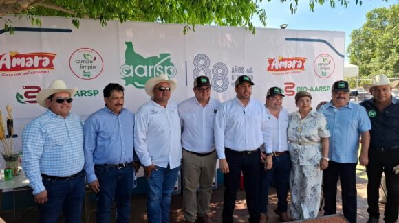 Precio del maíz en Sinaloa supera al del mercado internacional, celebra Bello Esquivel