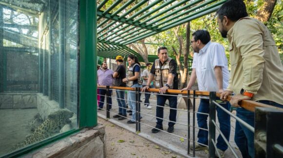 Zoológico de Culiacán recupera 119 animales asegurados por Profepa