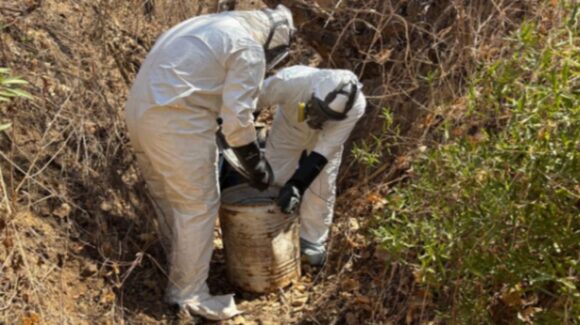 Cuatro áreas de almacenamiento de sustancias químicas son aseguradas en Culiacán y Cosalá