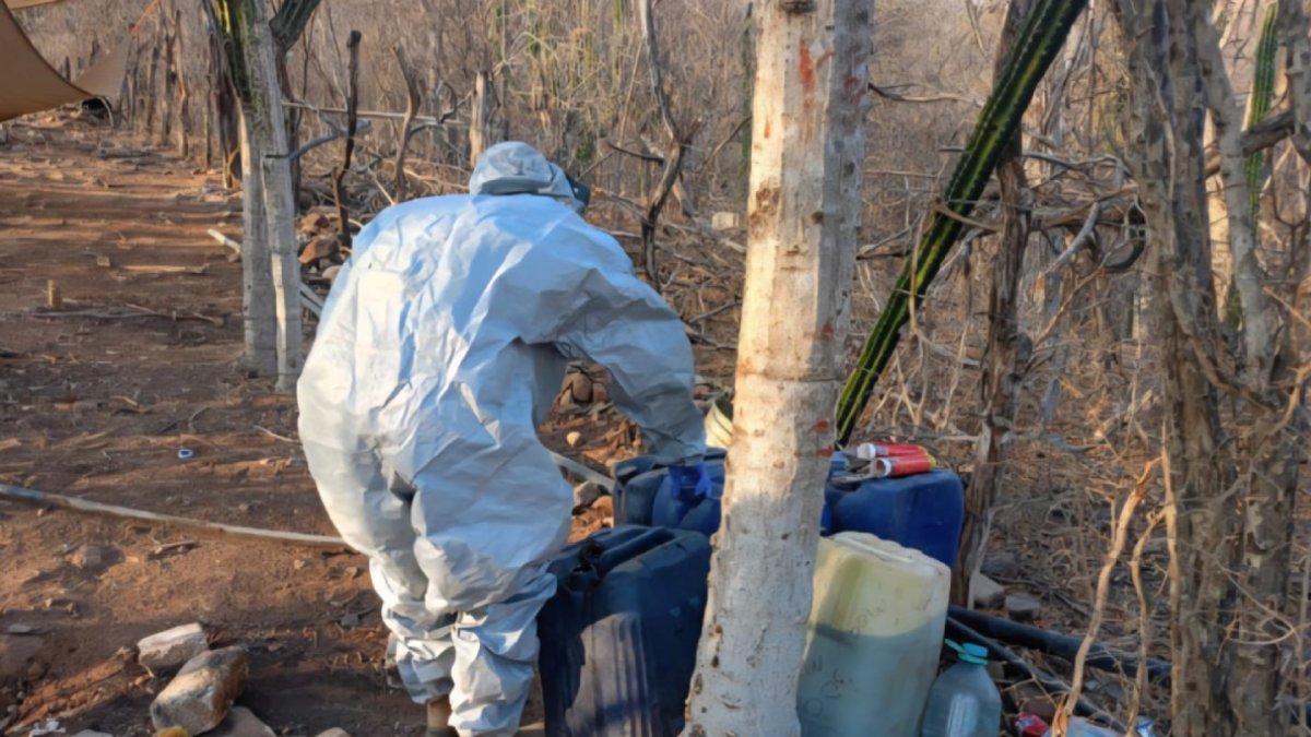 Aseguran un laboratorio inactivo y un área de concentración de sustancias químicas en Culiacán