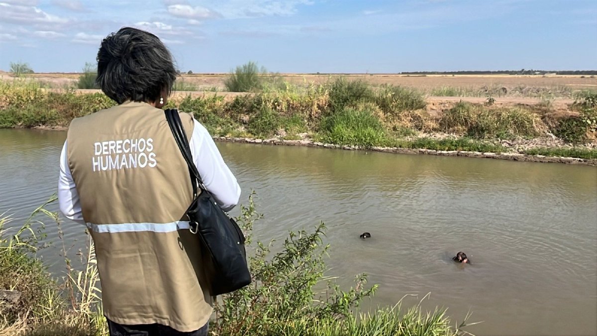 Con ayuda de buzos, rastreadoras localizan restos óseos en el Canal Alto, en Guasave