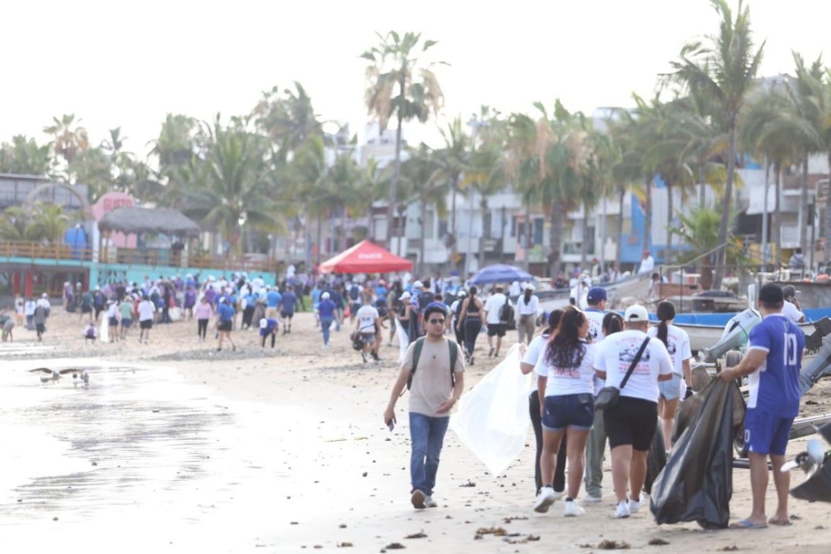 limpieza de playas
