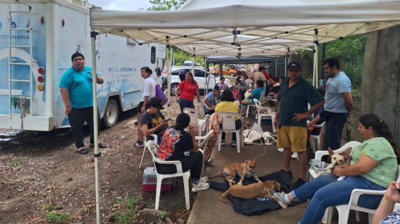 Realiza Ecología Municipal 30 esterilizaciones gratuitas en Parque Central de Mazatlán