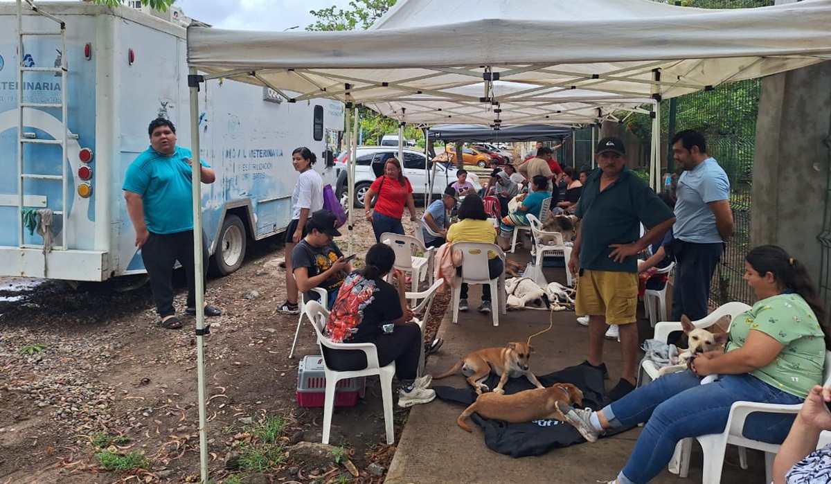 Realizan campaña de esterilización en Mazatlán