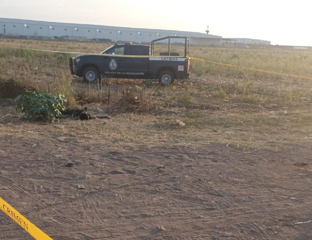 Ejecutado a balazos encuentran a un hombre en Navolato