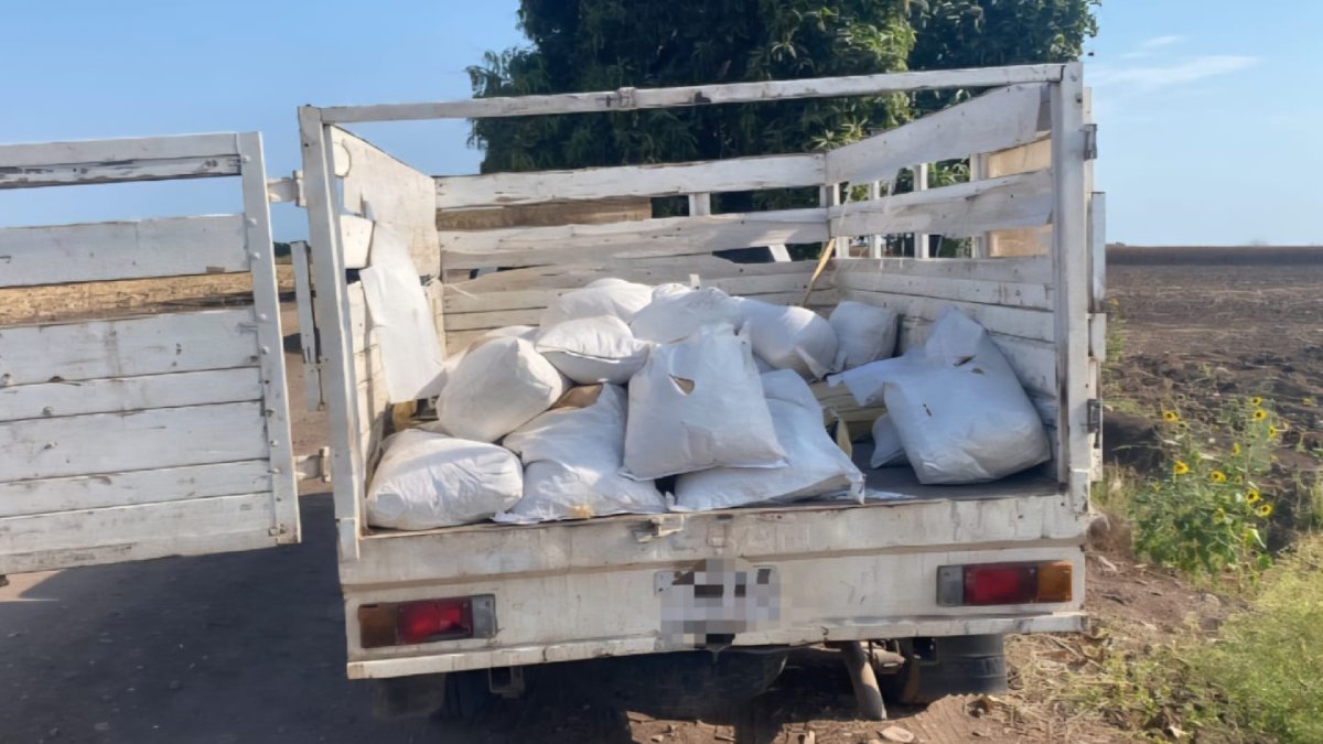 En Mocorito, aseguran vehículos, droga y sustancias químicas
