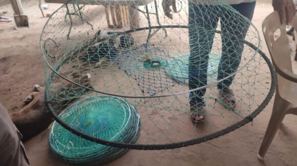 Pescadores de jaiba cuenta las horas para salir pronto en busca de sus capturas; alistan sus herramientas