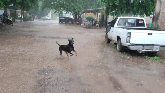 Hasta 80 mm de acumulado es el pronóstico de lluvias para la próxima semana; temperatura seguirá elevada: PC